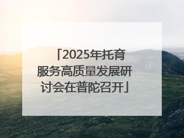 2025年托育服务高质量发展研讨会在普陀召开