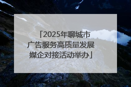 2025年聊城市广告服务高质量发展媒企对接活动举办