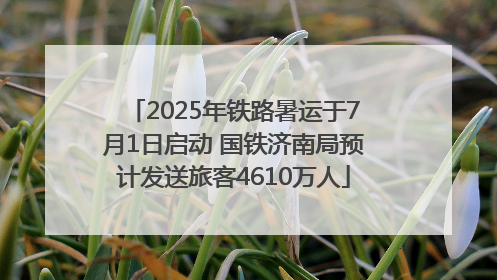 2025年铁路暑运于7月1日启动 国铁济南局预计发送旅客4610万人