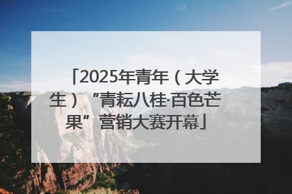 2025年青年（大学生）“青耘八桂·百色芒果”营销大赛开幕
