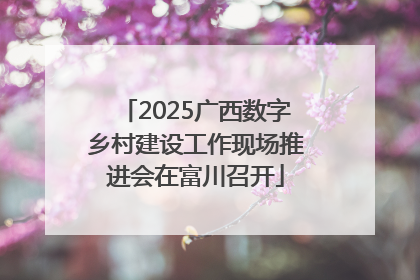 2025广西数字乡村建设工作现场推进会在富川召开