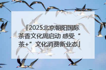 2025北京朝阳国际茶香文化周启动 感受“茶+”文化消费新业态