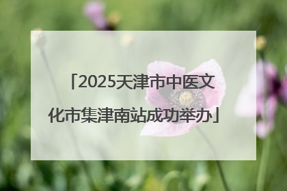 2025天津市中医文化市集津南站成功举办