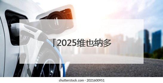 2025维也纳多瑙河龙舟赛举行