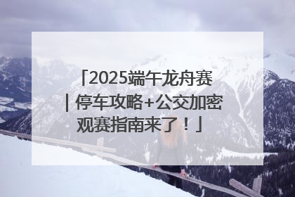2025端午龙舟赛｜停车攻略+公交加密 观赛指南来了！
