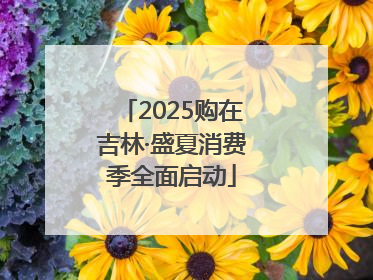 2025购在吉林·盛夏消费季全面启动