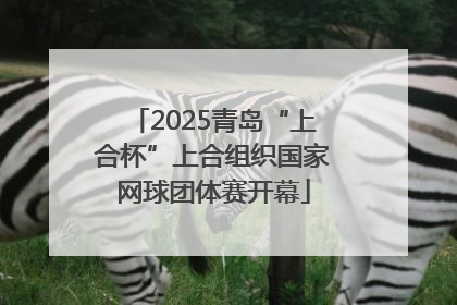 2025青岛“上合杯”上合组织国家网球团体赛开幕