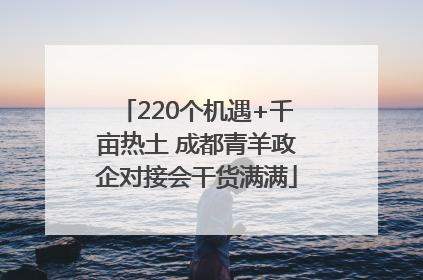 220个机遇+千亩热土 成都青羊政企对接会干货满满