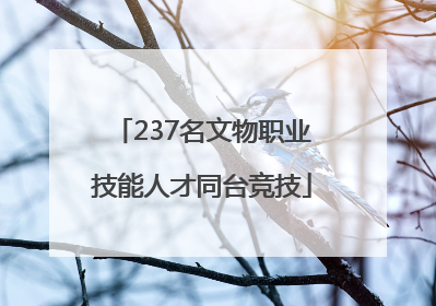 237名文物职业技能人才同台竞技