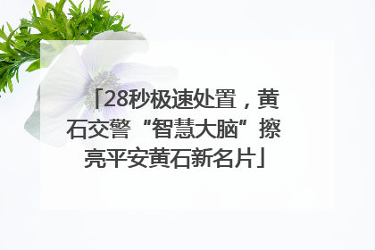 28秒极速处置，黄石交警“智慧大脑”擦亮平安黄石新名片