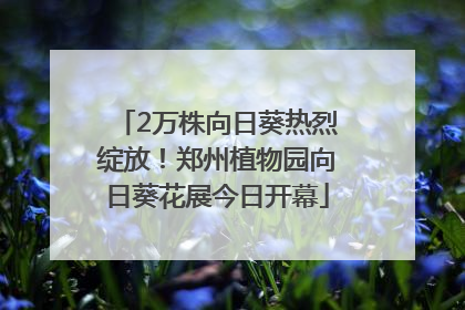 2万株向日葵热烈绽放！郑州植物园向日葵花展今日开幕