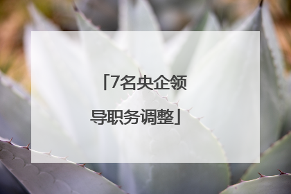 7名央企领导职务调整