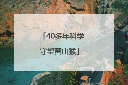 40多年科学守望黄山猴