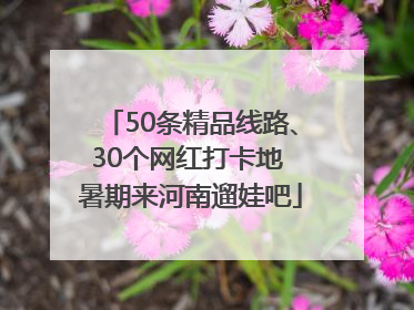 50条精品线路、30个网红打卡地 暑期来河南遛娃吧