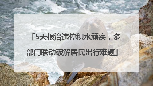 5天根治违停积水顽疾，多部门联动破解居民出行难题