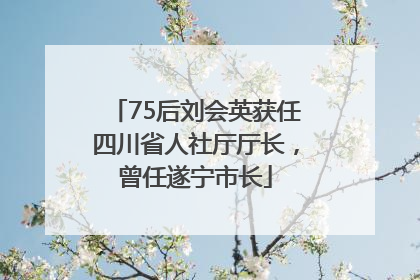 75后刘会英获任四川省人社厅厅长，曾任遂宁市长