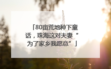 80亩荒地种下童话，珠海这对夫妻“为了家乡我愿意”