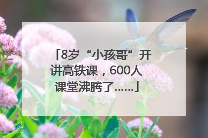 8岁“小孩哥”开讲高铁课，600人课堂沸腾了……