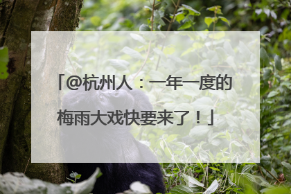@杭州人：一年一度的梅雨大戏快要来了！