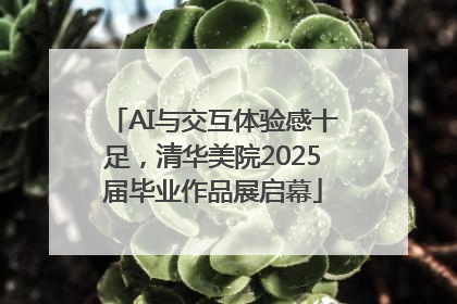 AI与交互体验感十足，清华美院2025届毕业作品展启幕