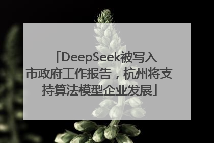 DeepSeek被写入市政府工作报告，杭州将支持算法模型企业发展